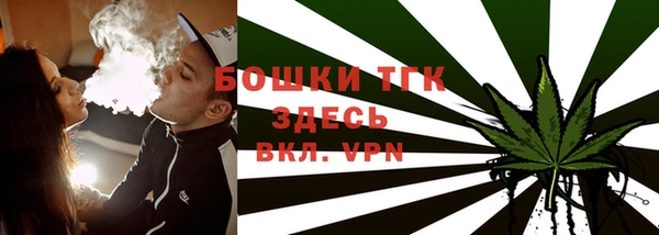 гидра Козловка