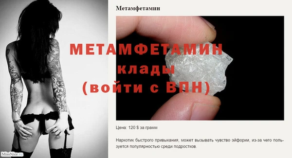 гидра Козловка