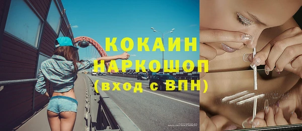 гидра Козловка