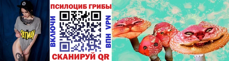 Псилоцибиновые грибы Psilocybine cubensis  Новочебоксарск 