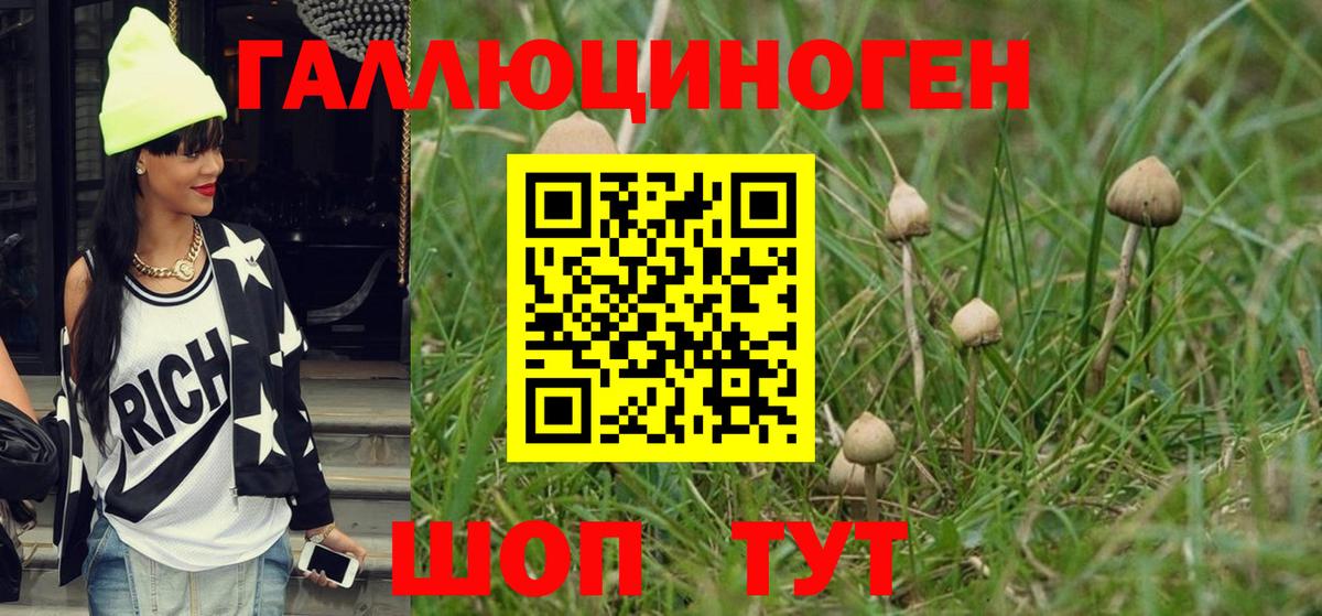Галлюциногенные грибы Psilocybine cubensis  Псилоцибиновые грибы мухоморы  Новочебоксарск  Вход с VPN 