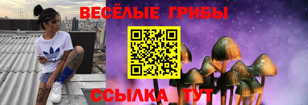 Галлюциногенные грибы мицелий Новочебоксарск